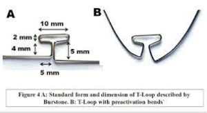ナンダ先生のマッシュルーム・ループ