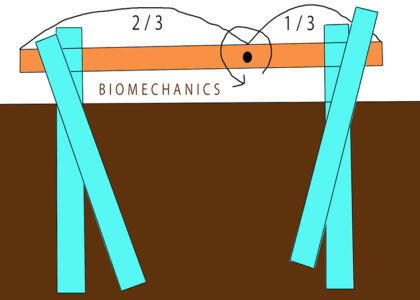 「バイオメカニクス＝生力学」
