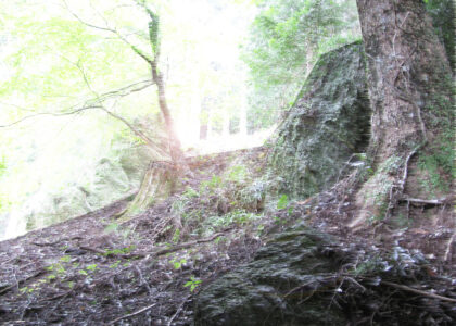 「源流医療って？・・・木知　徹(きしりとおる)くんの歯磨き教室」