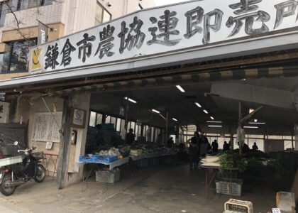 「矯正歯科専門医 : 鎌倉での生活＝鎌倉野菜編」