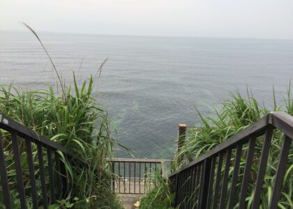 「矯正歯科治療開始後半年経過後にデコボコが治っていなかったりガミースマイルだったり・・・」