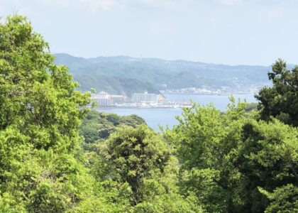 17) 矯正歯科専門医の治療で人生が前向きになる＝行動学的意義