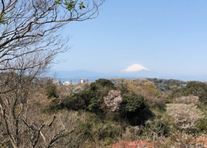 当院における Covid-19 対策を含むスタンダードプリコーションについて