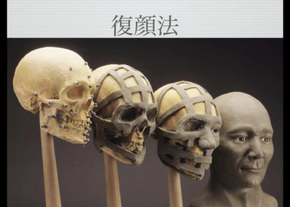 復顔法　髑髏さえあれば生前の顔が再現できる法医学的手法　矯正でも骨の移動で顔が変わります