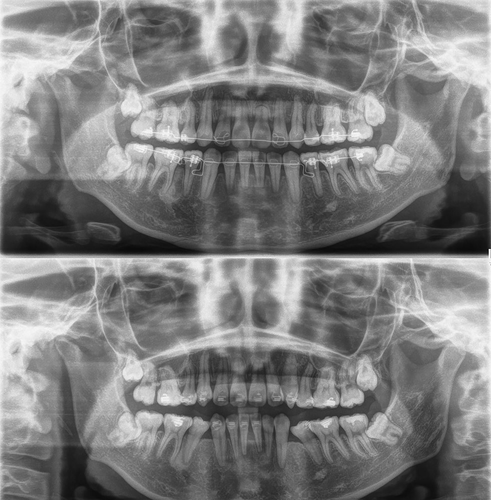 紹介してくださったSJさんには感謝です！